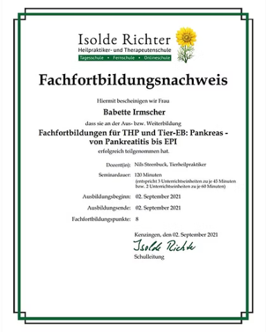 Zertifikat über die Fachfortbildung von Isolde Richter, Pankreatitis